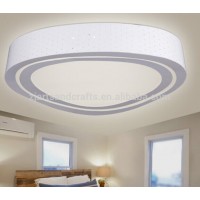 24W Fashion LED ceiling lamp living room LED light for dining room Study lamp